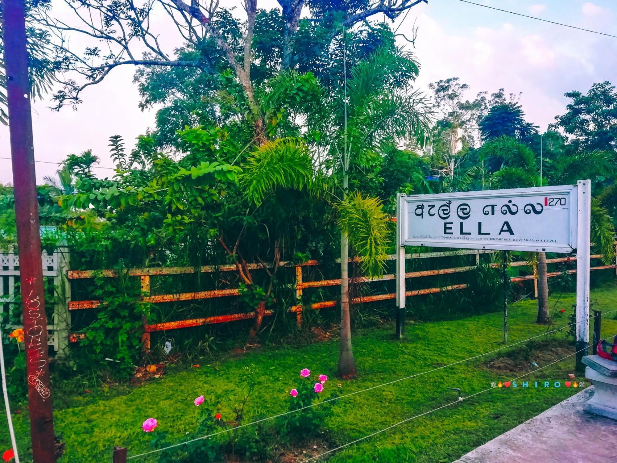 Saddle Cottage Ела Екстериор снимка